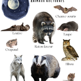 Thème Jour et Nuit - Affiches imagiers