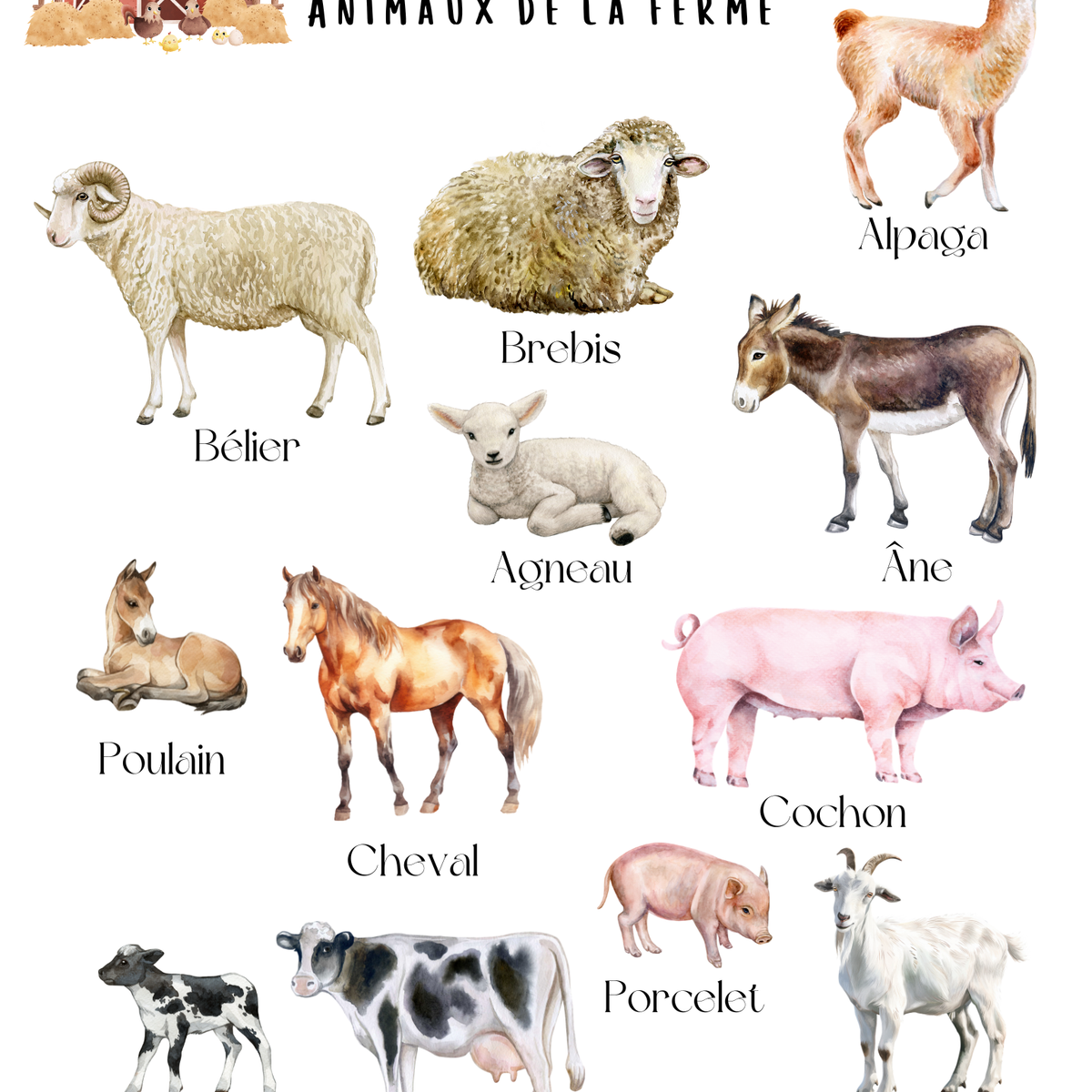 Thème Animaux de la ferme - Affiches imagiers