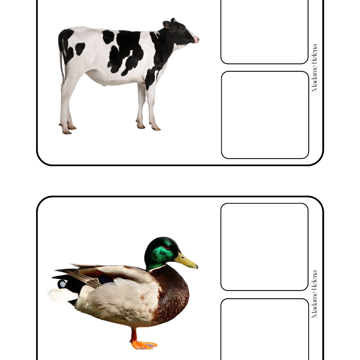 Thème Animaux de la ferme - Jeu d'association pelage et empreintes