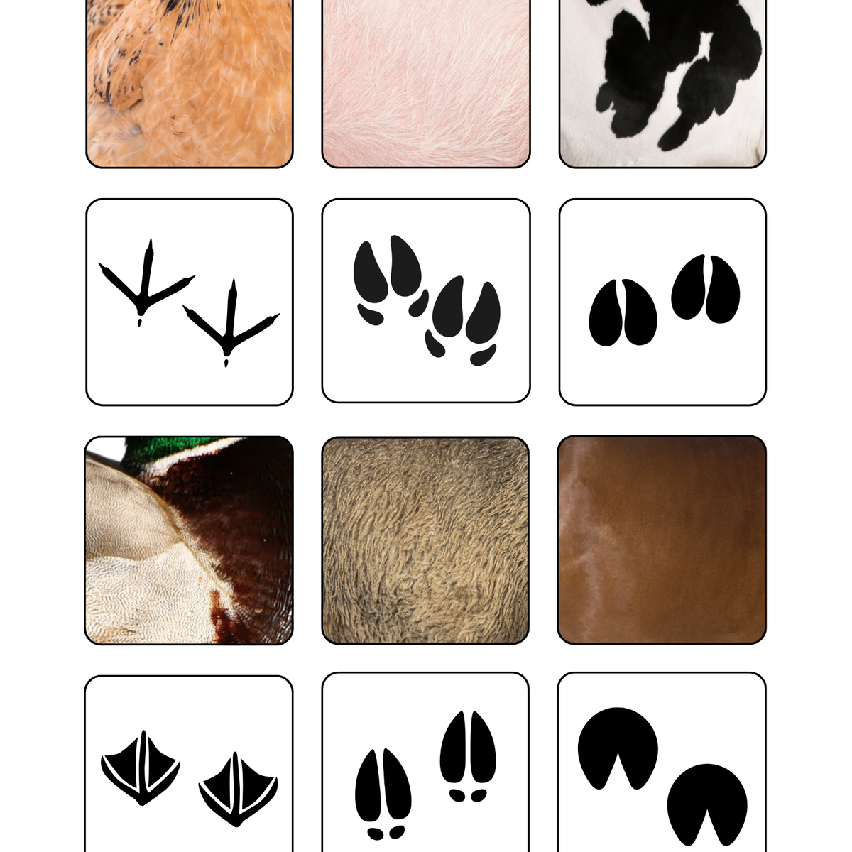 Thème Animaux de la ferme - Jeu d'association pelage et empreintes