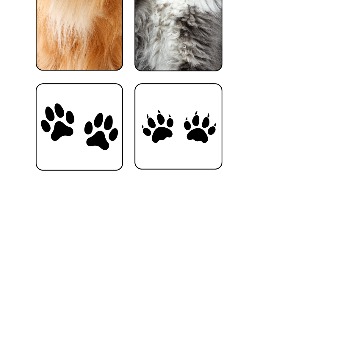 Thème Animaux de la ferme - Jeu d'association pelage et empreintes