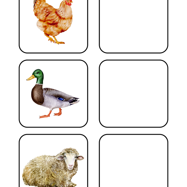 Thème Animaux de la ferme - Qui mange quoi ?