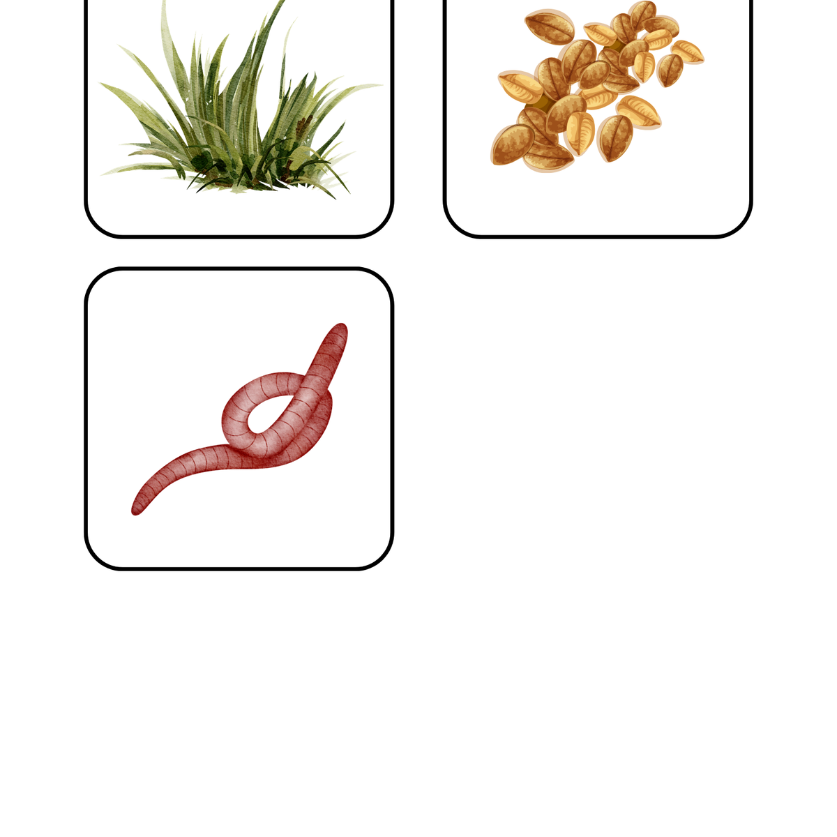 Thème Animaux de la ferme - Qui mange quoi ?