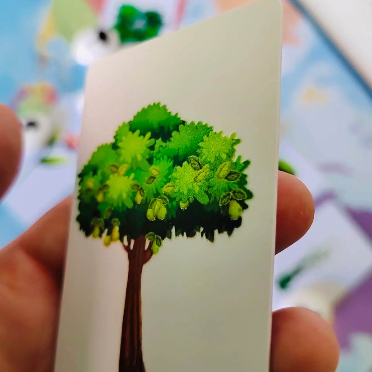 Les petites graines de génie - Les arbres et leur ombre
