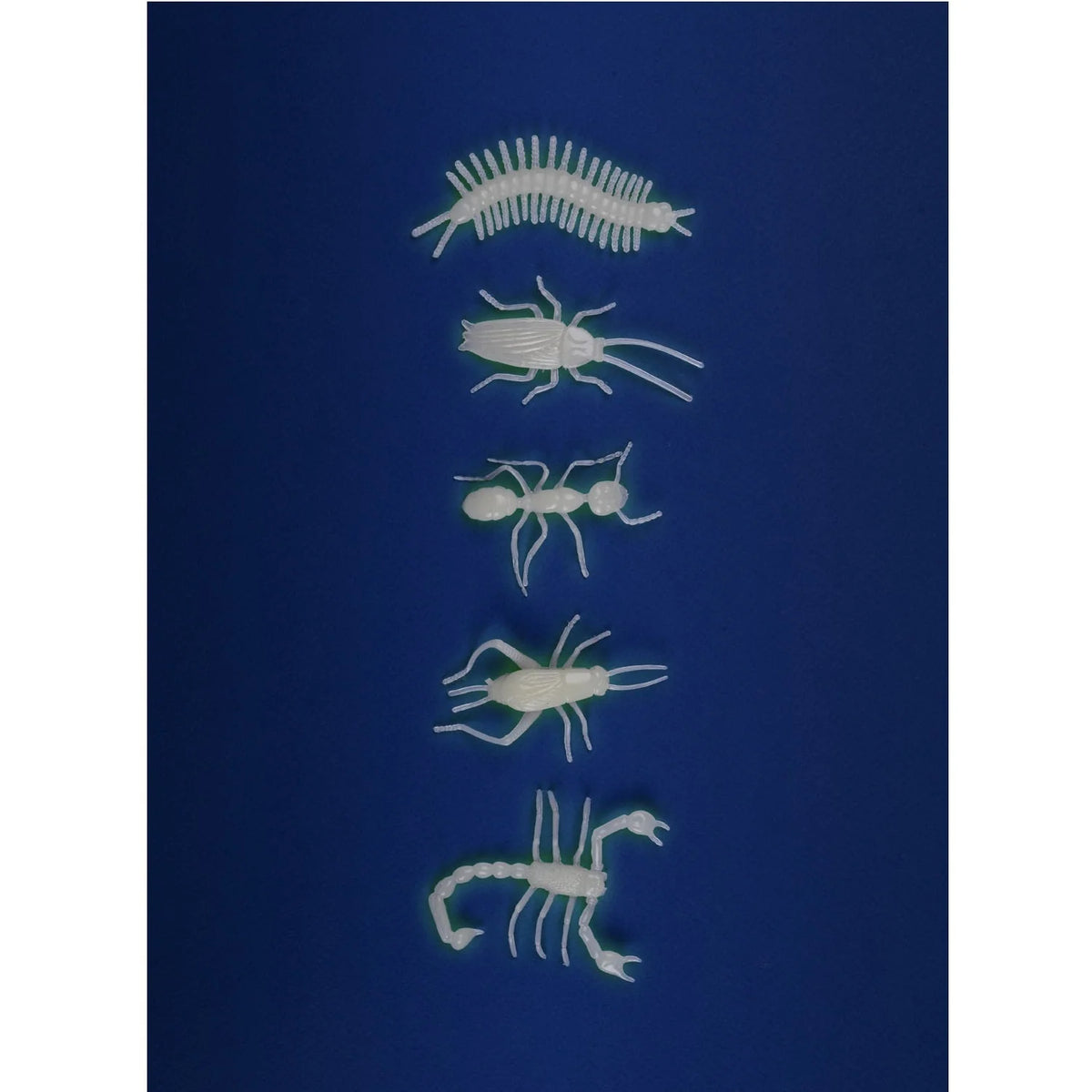 Moulin Roty - Petites merveilles Insectes Phosphorescents