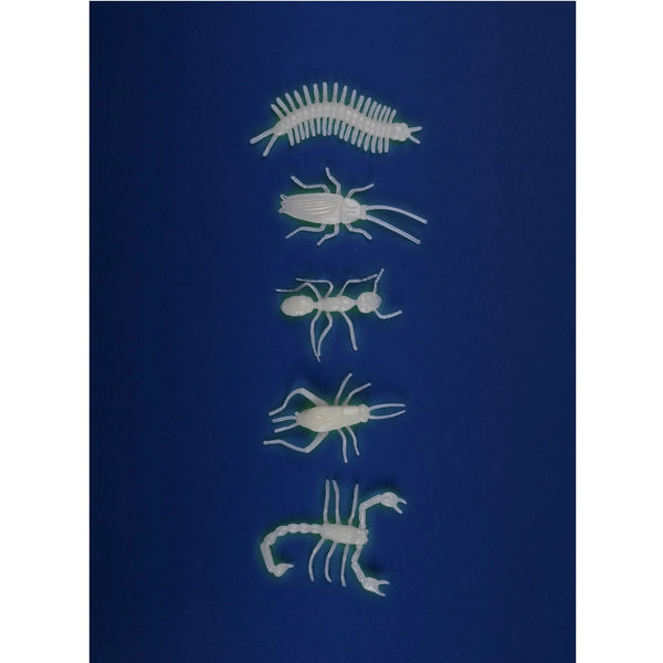Moulin Roty - Petites merveilles Insectes Phosphorescents