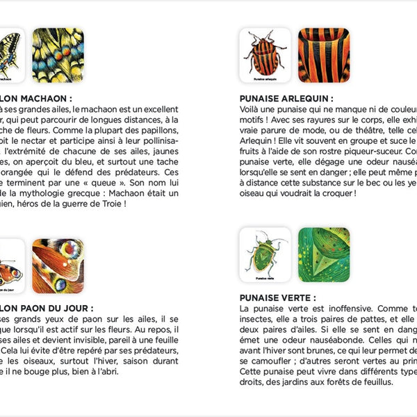 Nathan - Mémo des Insectes