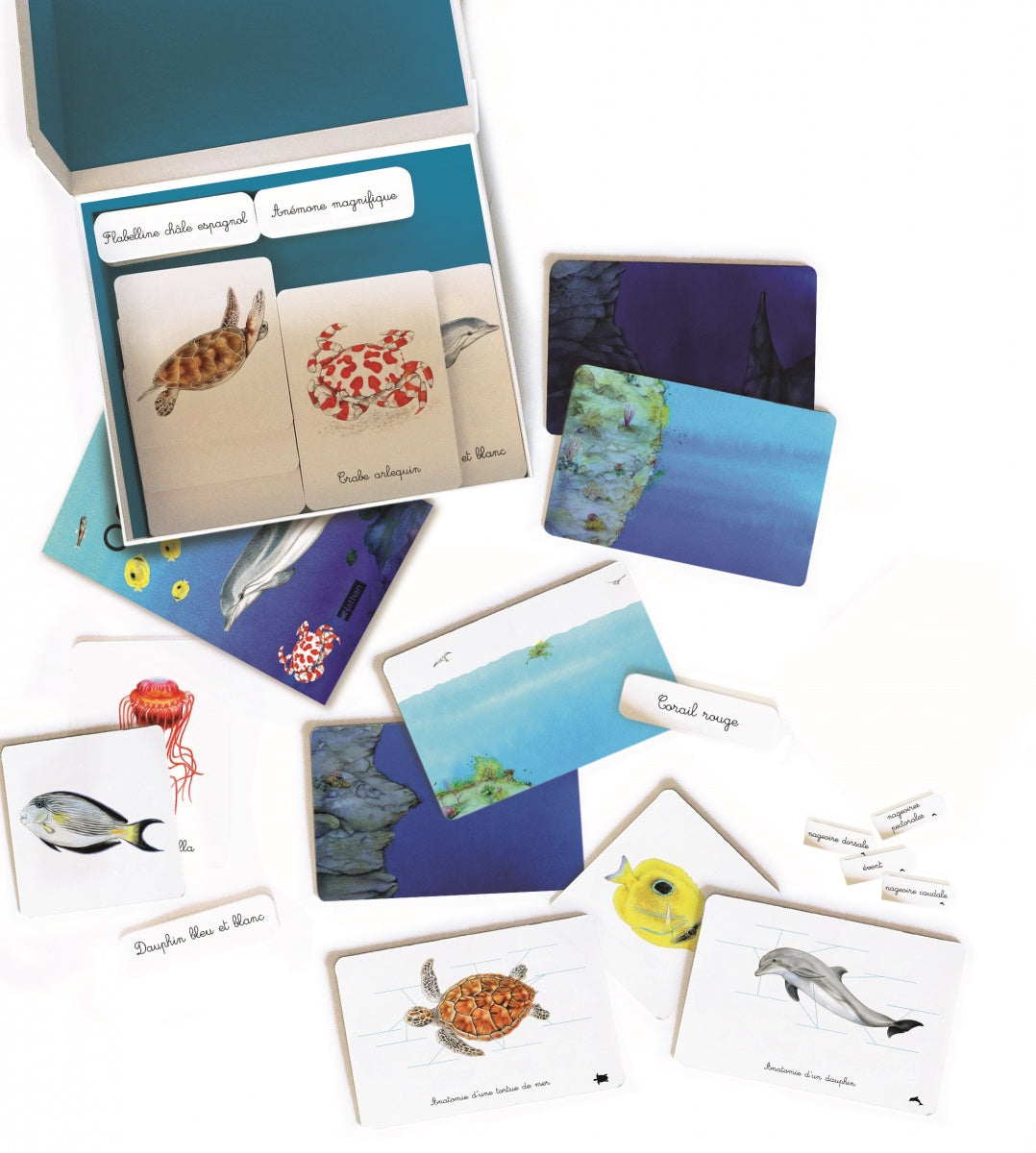 Nathan - Mon coffret Montessori Océans