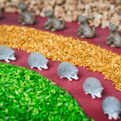 Petit boum - Bouteille sensorielle Spy Forêt