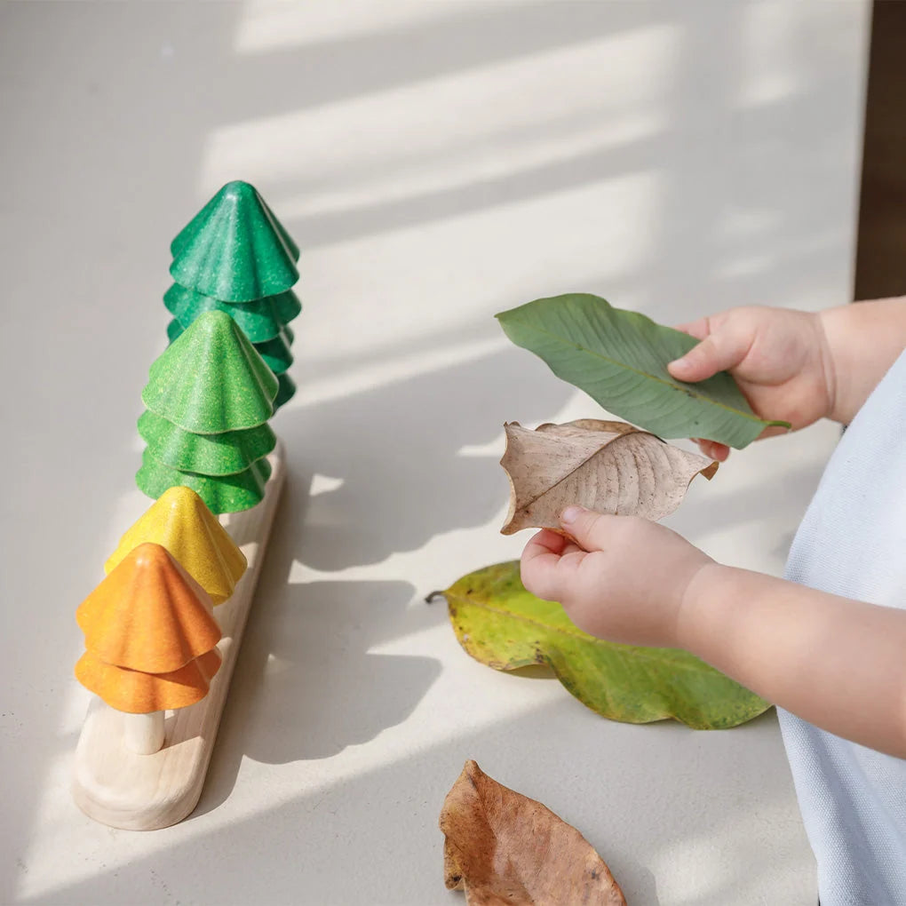 PlanToys - Arbres à compter et trier