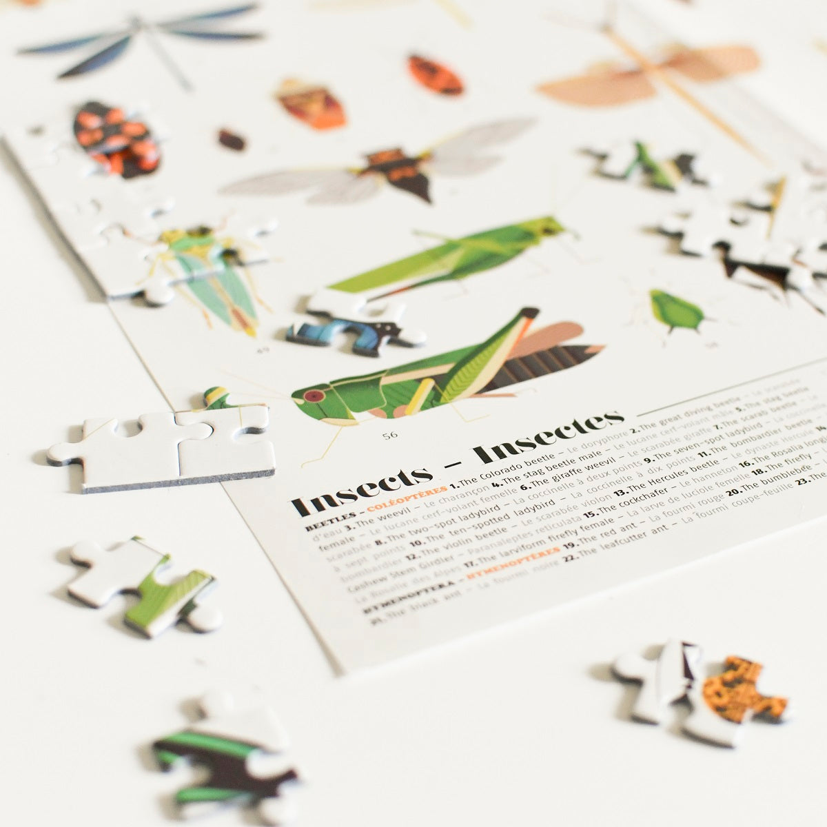 Poppik - Discovery Puzzle Insectes 500 pcs