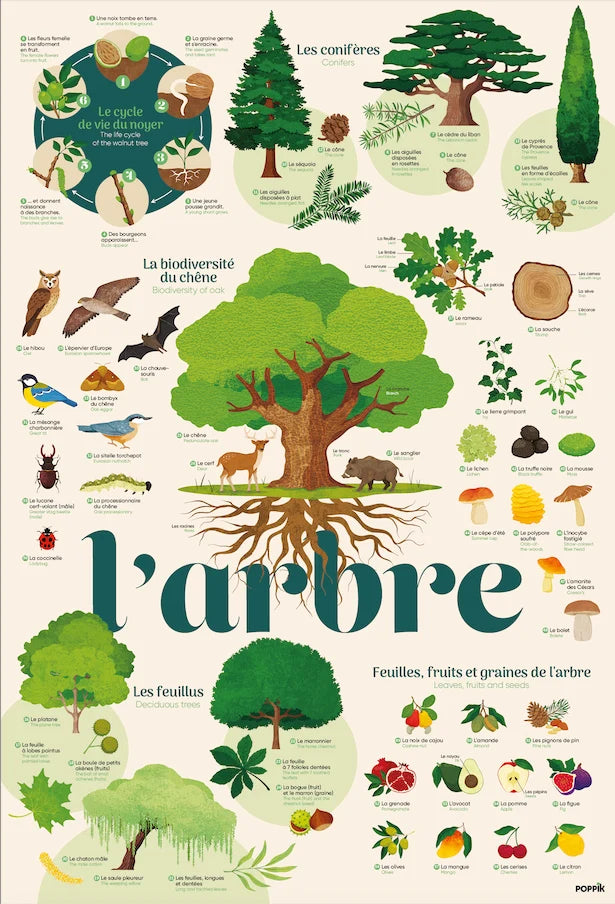 Poppik - Discovery Stickers Arbre