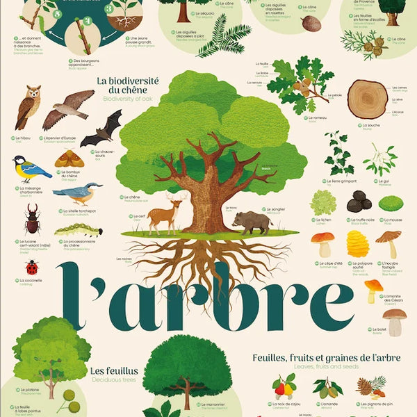 Poppik - Discovery Stickers Arbre