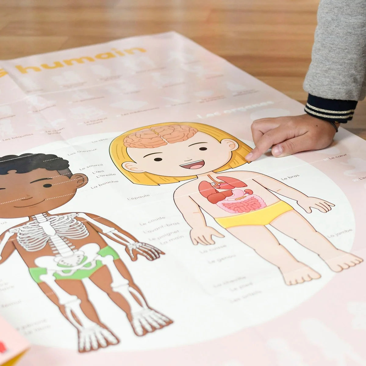 Poppik - Discovery Stickers Corps humain