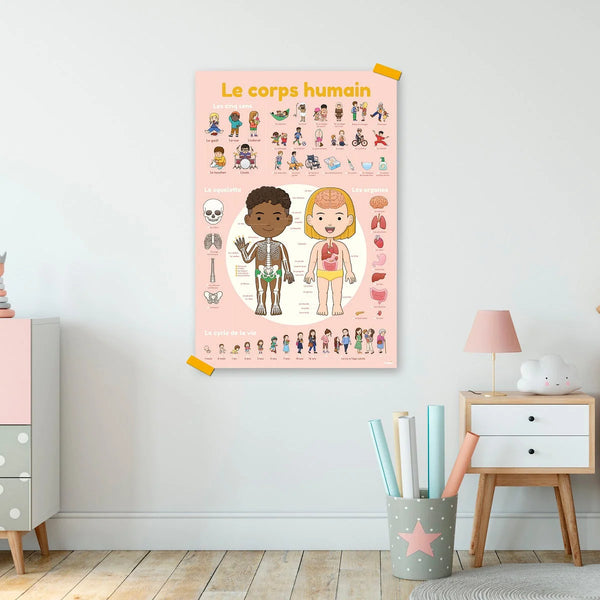 Poppik - Discovery Stickers Corps humain