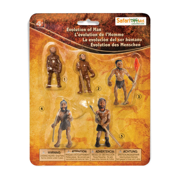 Safari Ltd - L'évolution de l'Homme