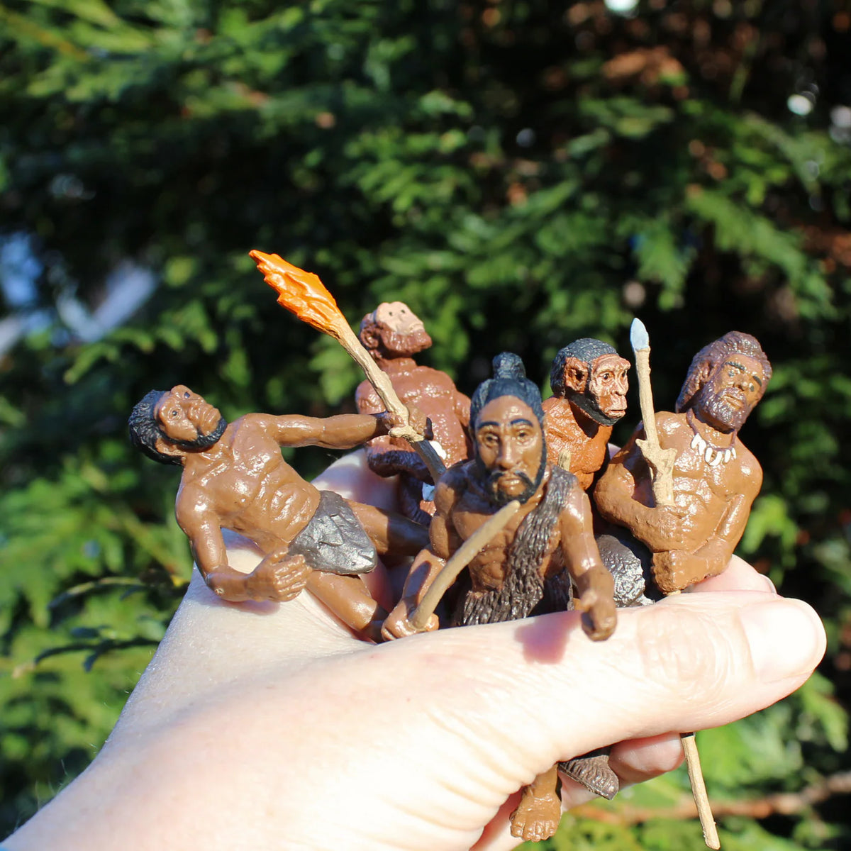 Safari Ltd - L'évolution de l'Homme