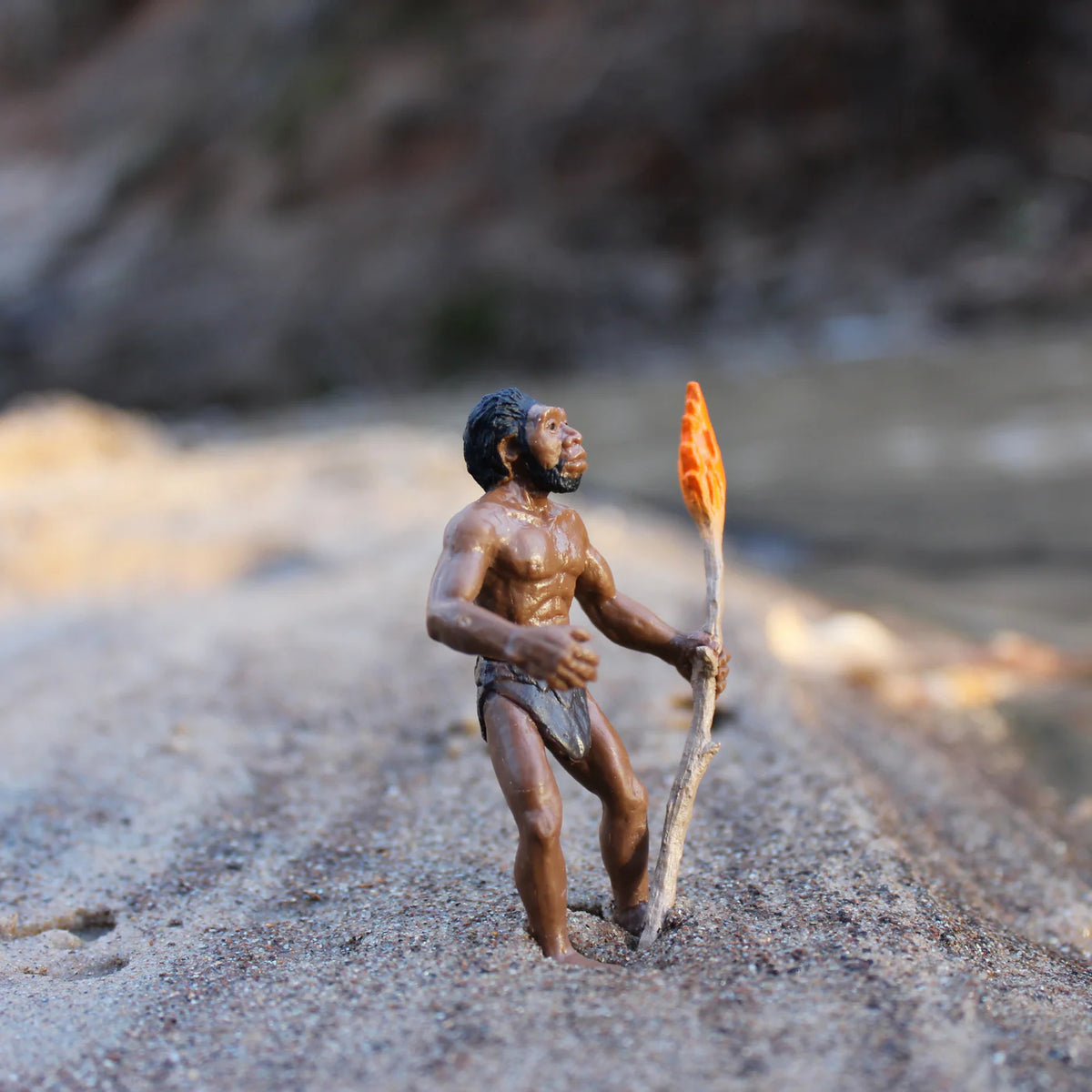 Safari Ltd - L'évolution de l'Homme