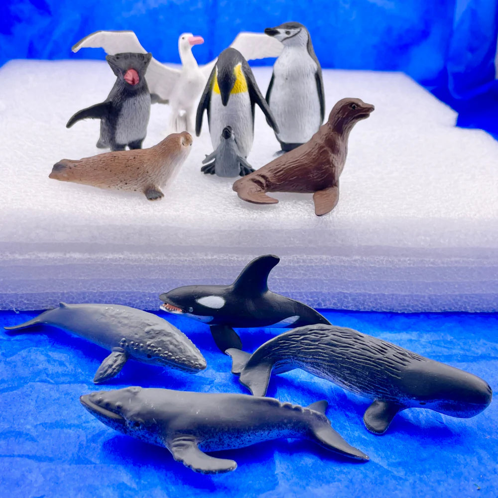 Safari Ltd - Tube Antarctique