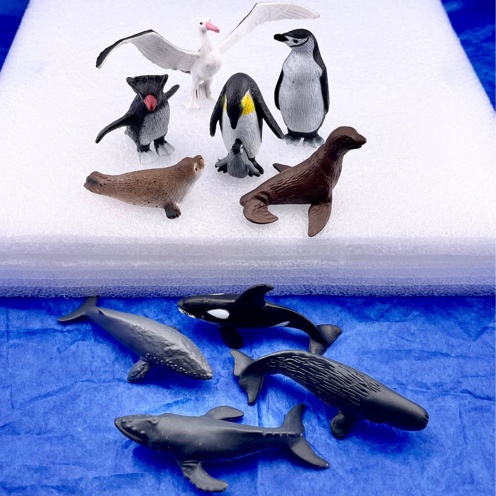 Safari Ltd - Tube Antarctique