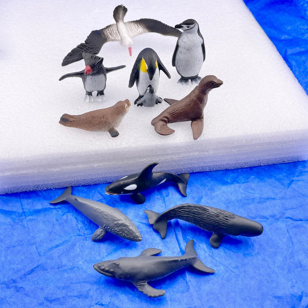 Safari Ltd - Tube Antarctique