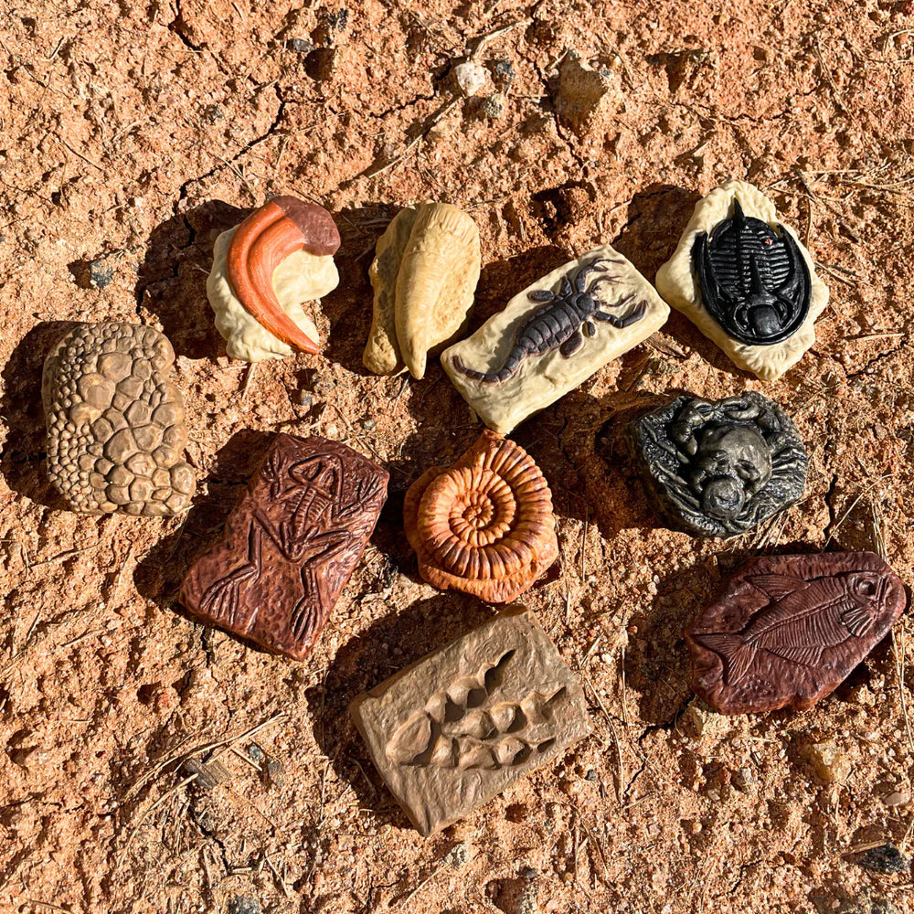 Safari Ltd - Tube Fossiles Anciens