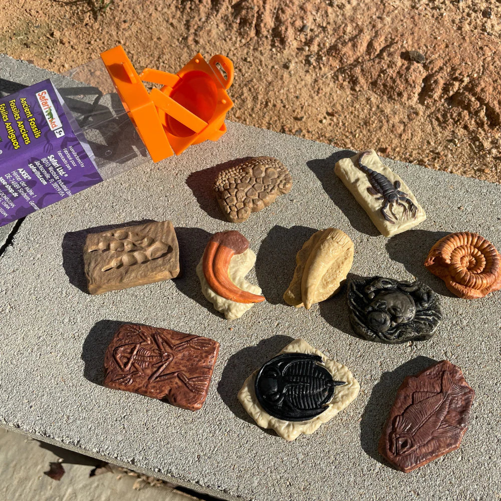 Safari Ltd - Tube Fossiles Anciens