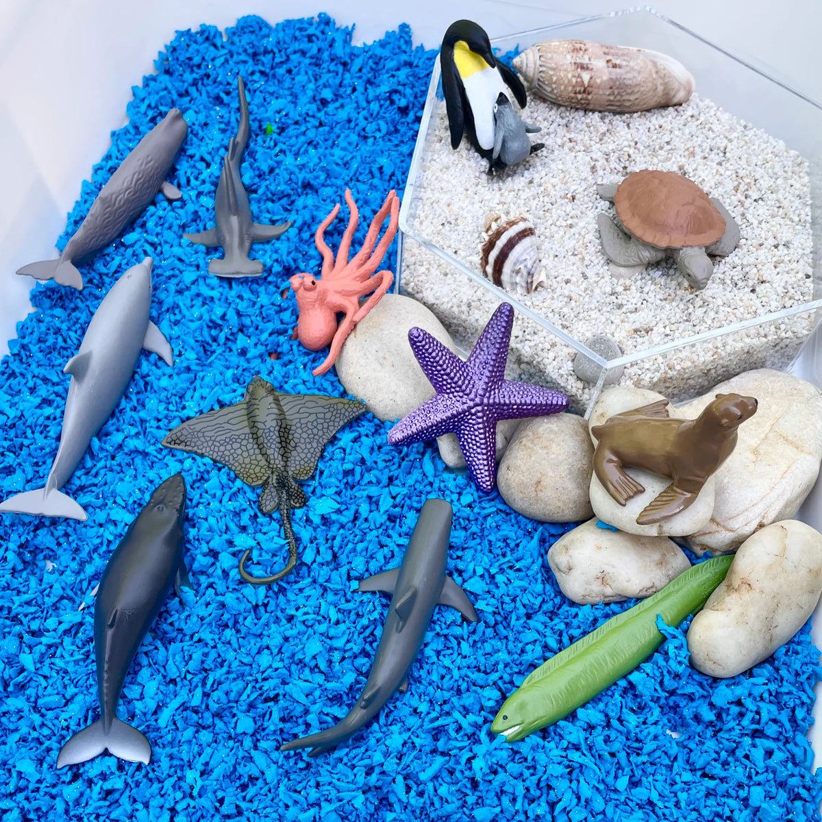 Safari Ltd - Tube Océan