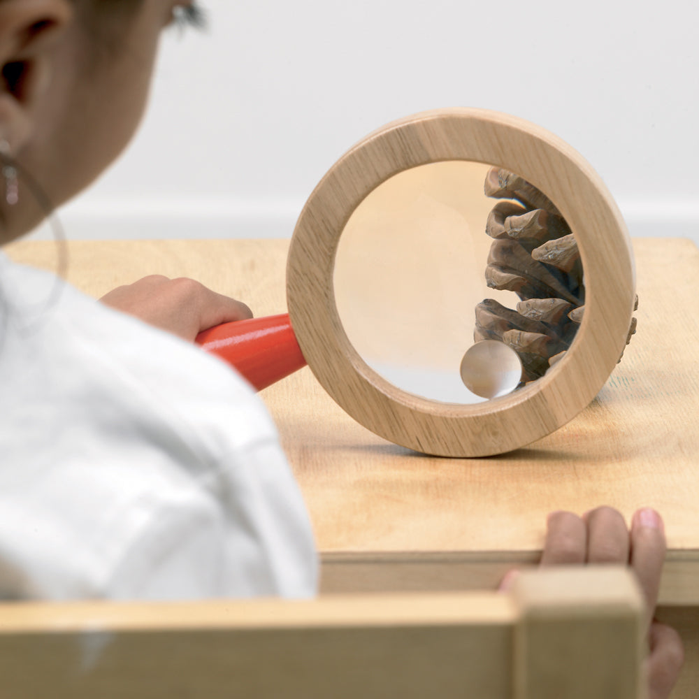 Hand Lens Insects Tickit - Wooden Hand Lens – Les Monti'Cocos