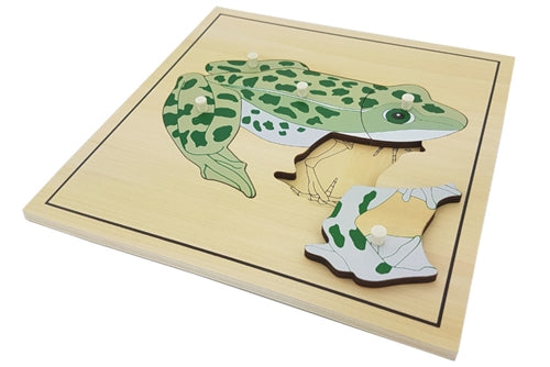 Skeleton zoology puzzles