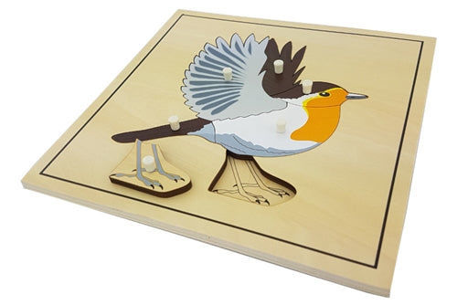 Skeleton zoology puzzles