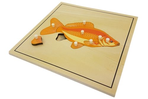 Skeleton zoology puzzles