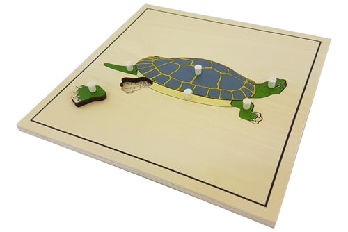 Skeleton zoology puzzles