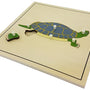 Skeleton zoology puzzles